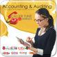 133. Accounting  Auditing